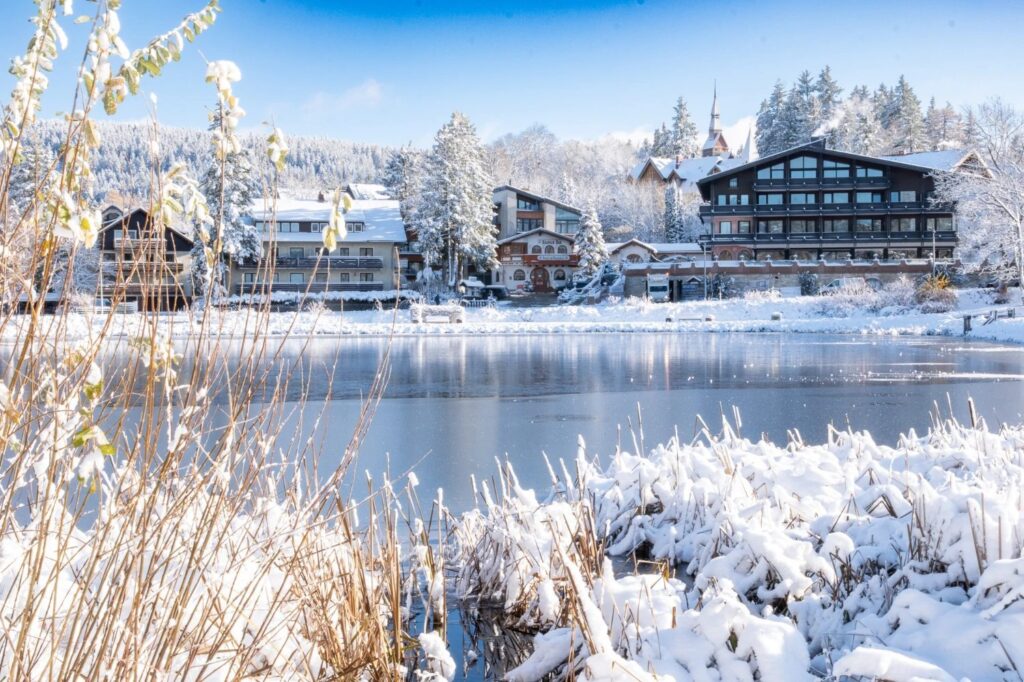 Der Kranichsee im Winter