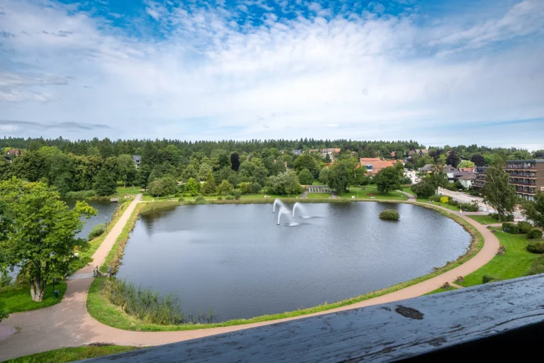 Blick über den Kranichsee in Hahnenklee