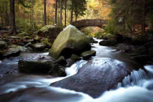 Oberharzer Wasserwirtschaft im Harz bei Hahnenklee